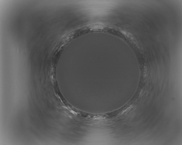 X0000060791445200511101406