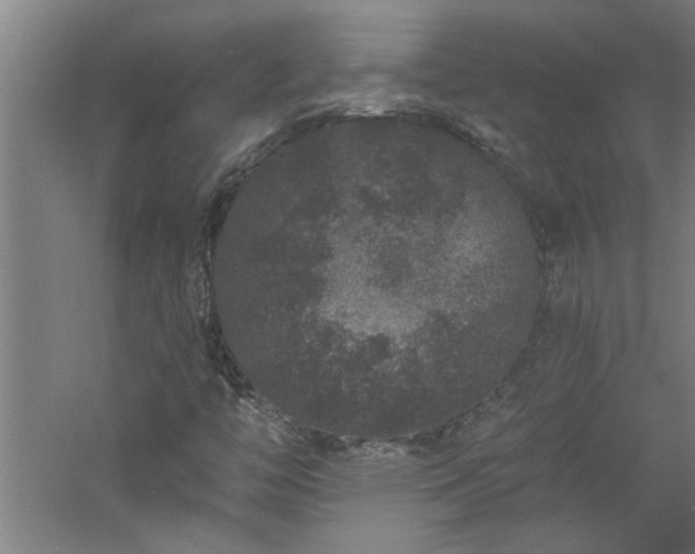 X0000060791446200511101406