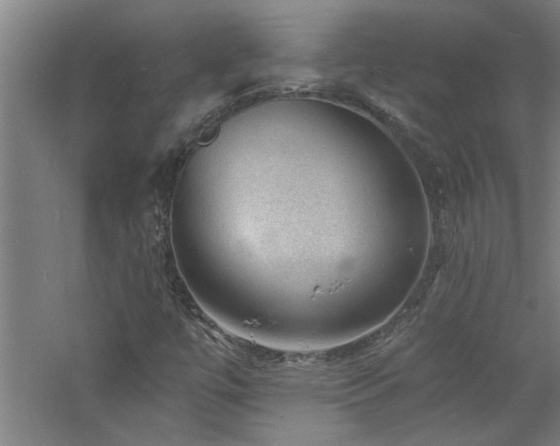 X0000060791447200511101406