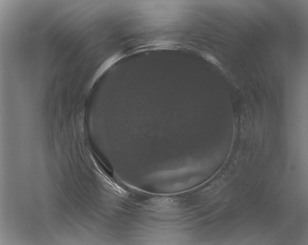 X0000060791450200511101406