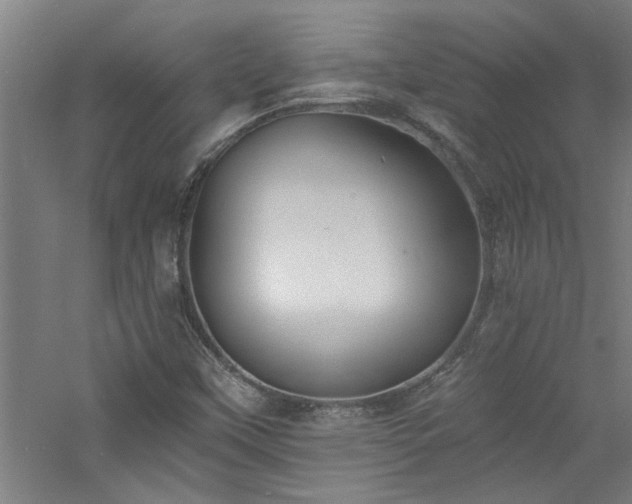 X0000060791451200511101405