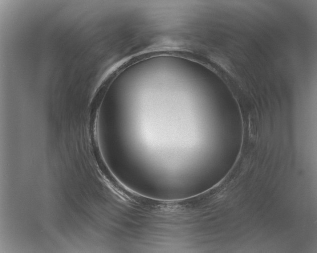 X0000060791452200511101405