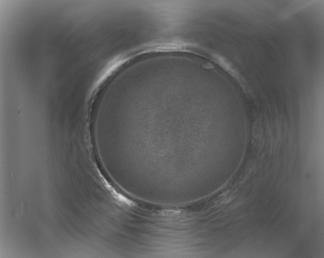 X0000060791456200511101405