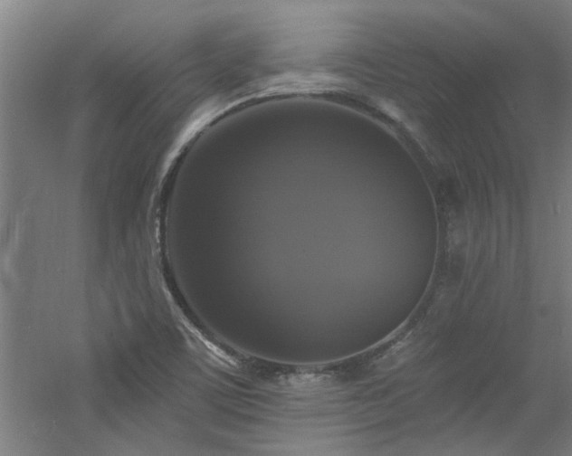 X0000060791459200511101405