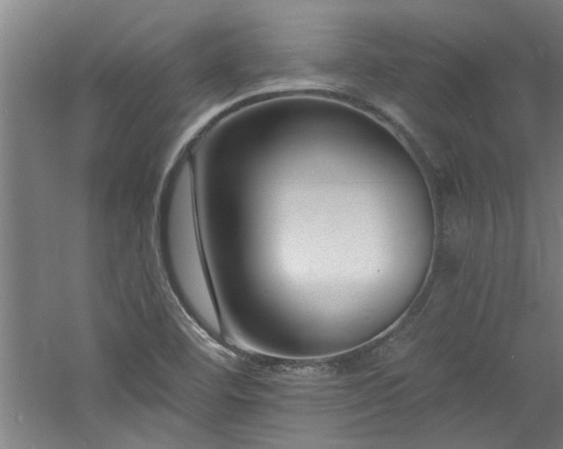 X0000060791460200511101405