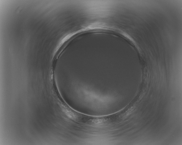 X0000060791461200511101405