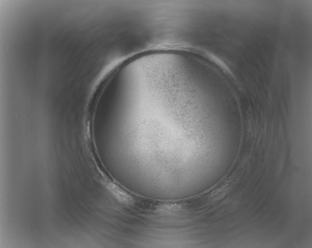 X0000060791462200511101405