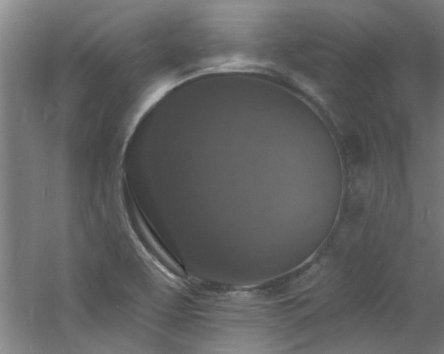 X0000060791463200511101405