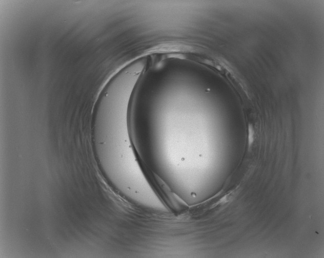 X0000060791465200511101405