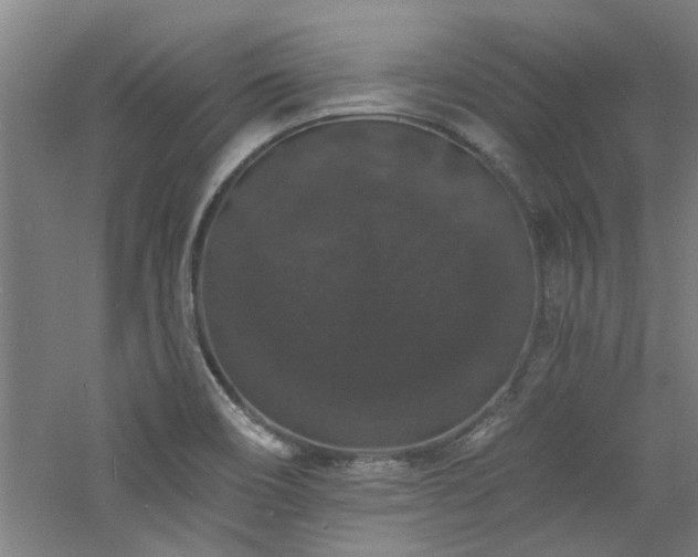 X0000060791466200511101405