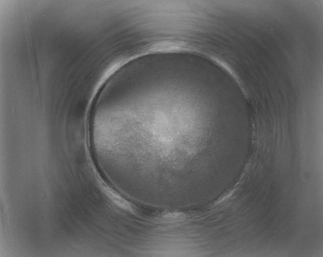 X0000060791467200511101405