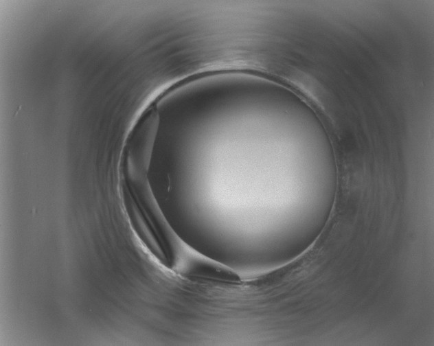 X0000060791468200511101405