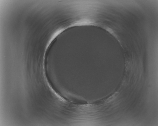 X0000060791469200511101405