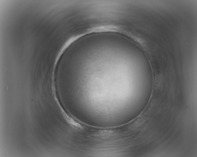 X0000060791470200511101405