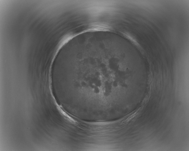 X0000060791471200511101405