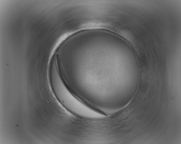 X0000060791472200511101405