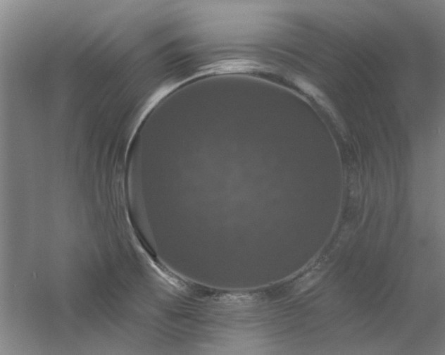 X0000060791473200511101405