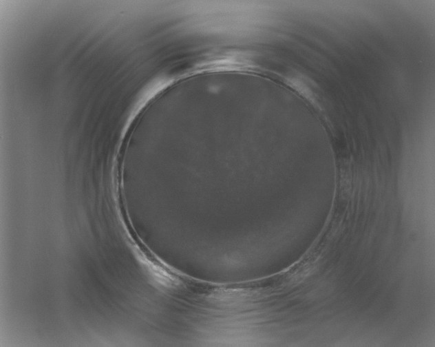 X0000060791474200511101405