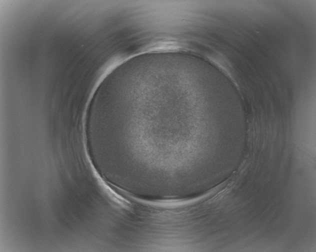 X0000060791475200511101405