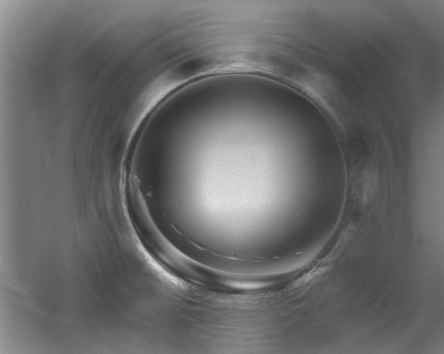 X0000060791476200511101405