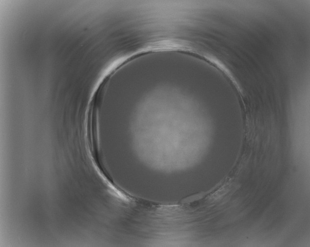 X0000060791477200511101405