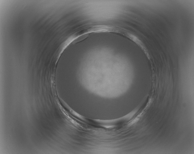 X0000060791481200511101405