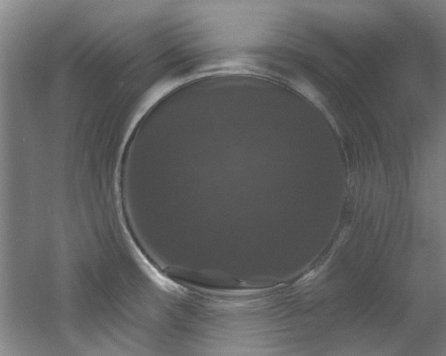 X0000060791482200511101405