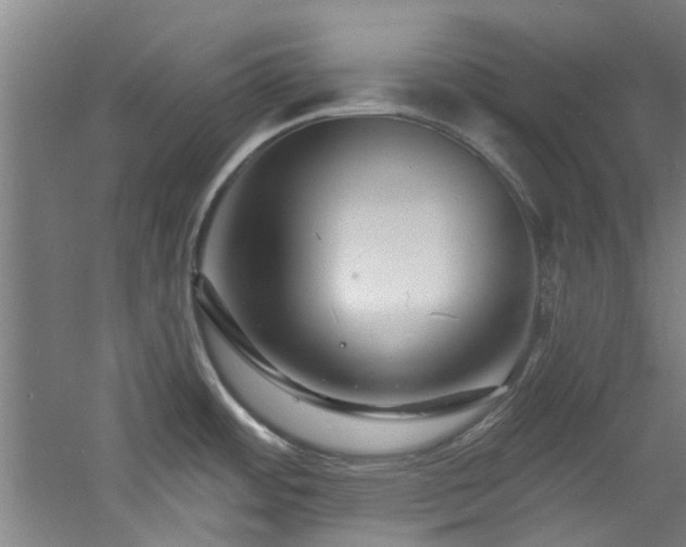 X0000060791484200511101405