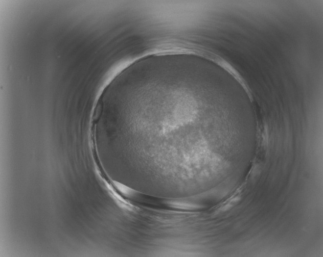 X0000060791485200511101405