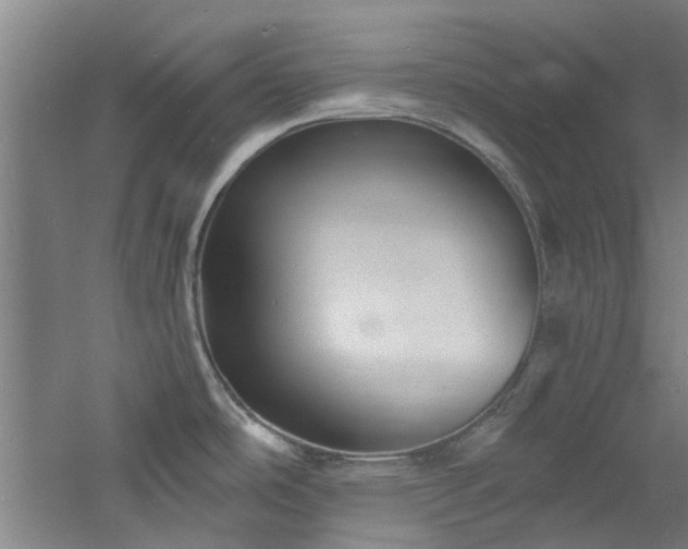 X0000060791486200511101405