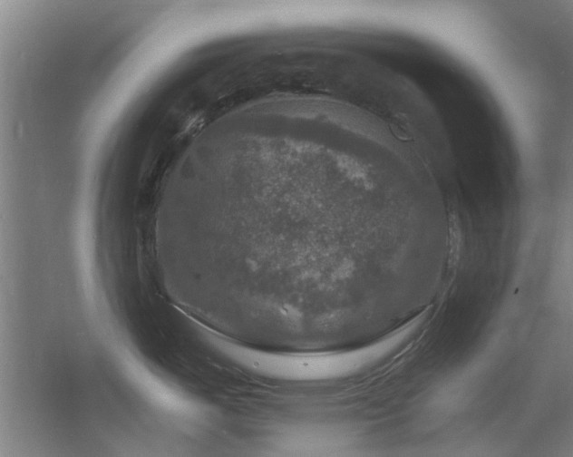 X0000060791487200511101405