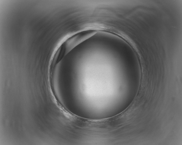 X0000060791488200511101405