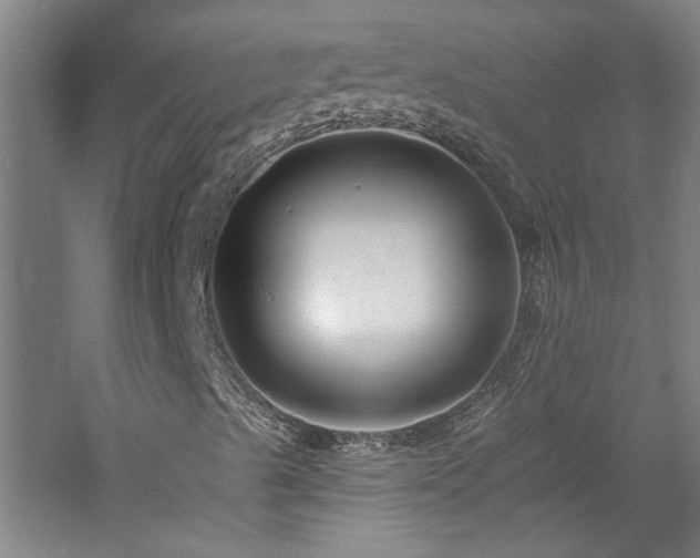 X0000060791489200511101404