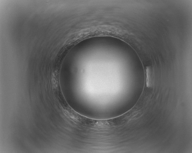 X0000060791491200511101404