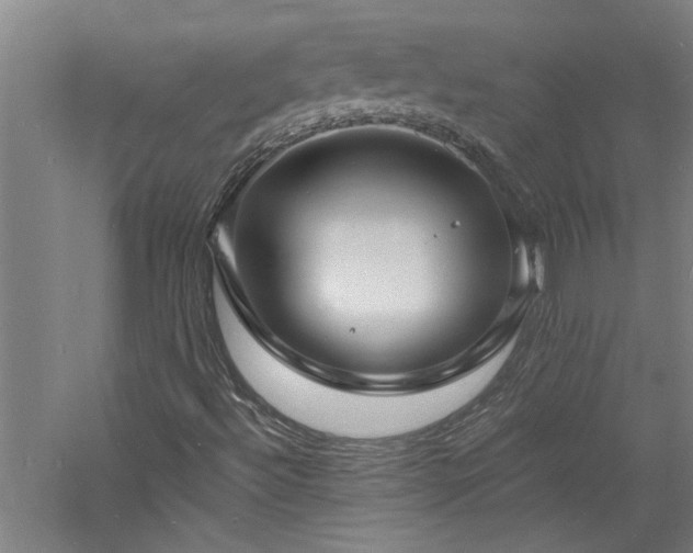 X0000060791492200511101404