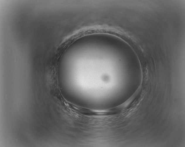 X0000060791494200511101404