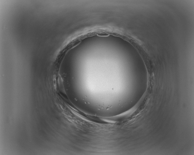 X0000060791496200511101404