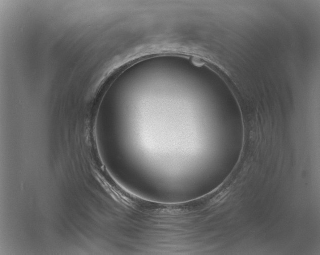 X0000060791499200511101404