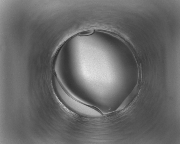 X0000060791500200511101404