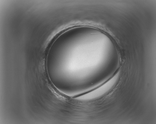 X0000060791503200511101404