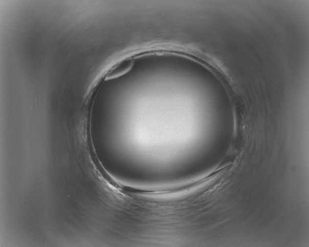 X0000060791504200511101404