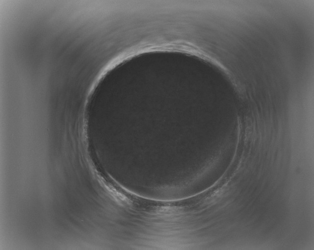 X0000060791506200511101404