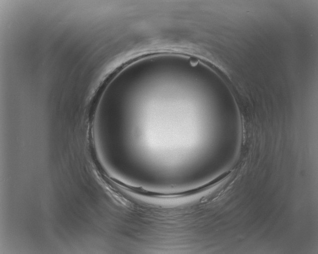 X0000060791507200511101404