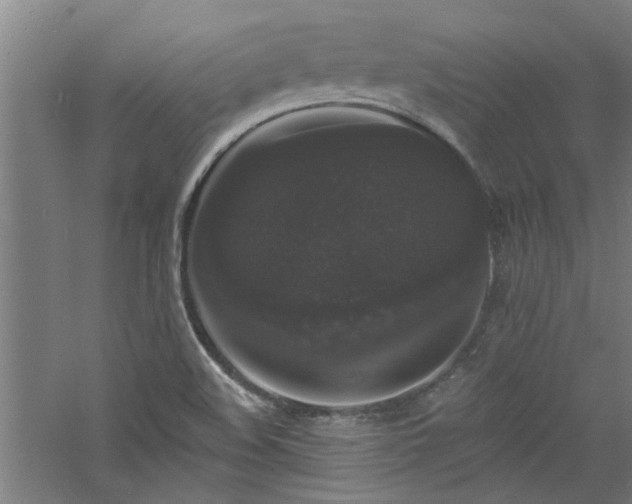 X0000060791508200511101404