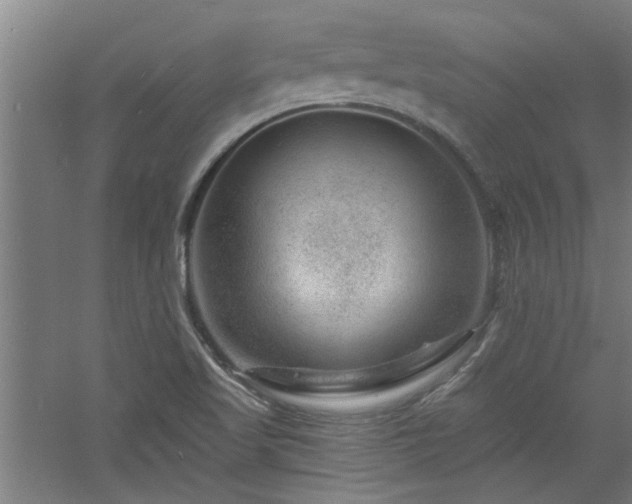 X0000060791509200511101404