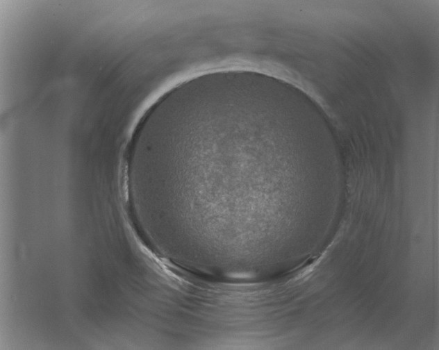 X0000060791510200511101404