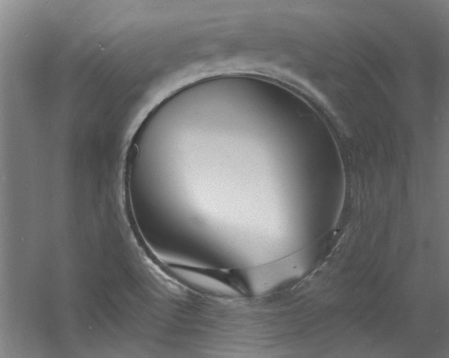 X0000060791512200511101404