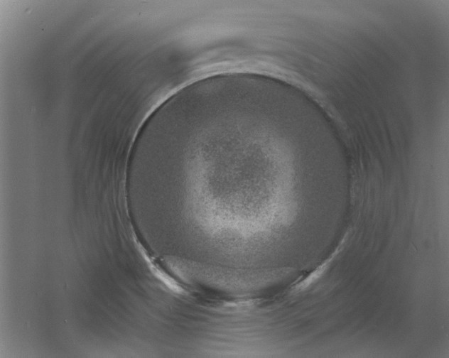 X0000060791513200511101404