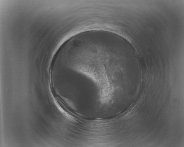 X0000060791515200511101404