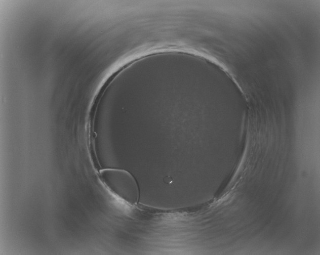 X0000060791519200511101405